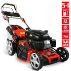 HECHT 554 SXE Benzinrasenmäher Mit Elektrostart 53 cm Schnittbreite 75 Liter Fangkorb Für Mittelgroße Gärten